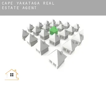 Cape Yakataga  real estate agent