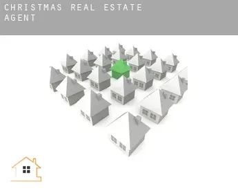 Christmas  real estate agent