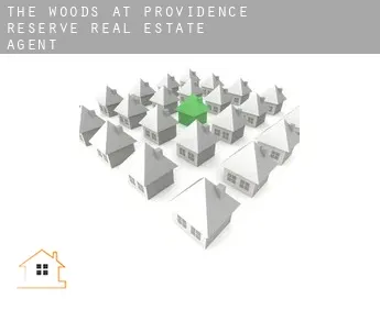 The Woods at Providence Reserve  real estate agent