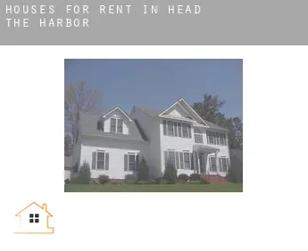 Houses for rent in  Head of the Harbor