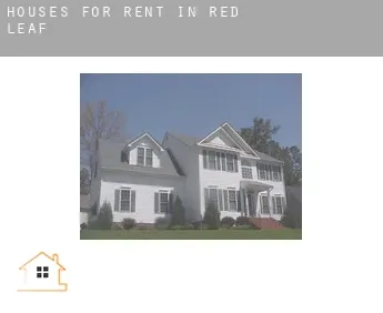 Houses for rent in  Red Leaf