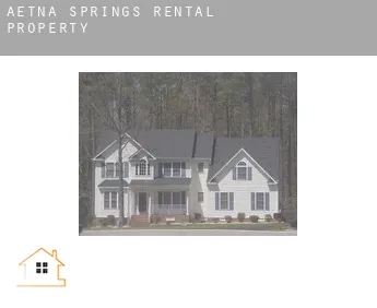 Aetna Springs  rental property