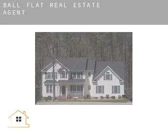 Ball Flat  real estate agent