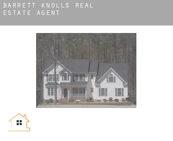 Barrett Knolls  real estate agent