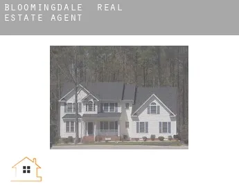 Bloomingdale  real estate agent