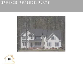 Brushie Prairie  flats