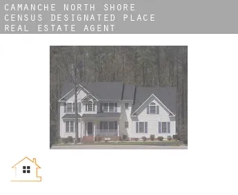 Camanche North Shore  real estate agent