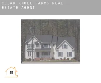 Cedar Knoll Farms  real estate agent