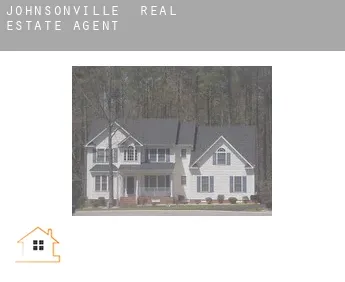 Johnsonville  real estate agent