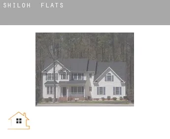 Shiloh  flats