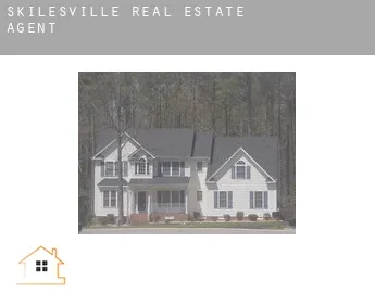 Skilesville  real estate agent