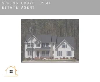 Spring Grove  real estate agent