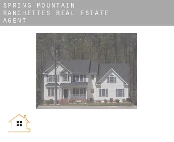 Spring Mountain Ranchettes  real estate agent