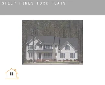 Steep Pines Fork  flats