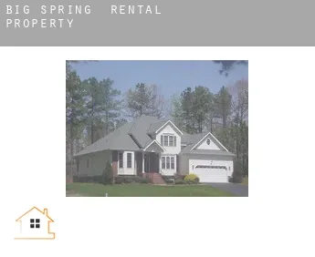Big Spring  rental property