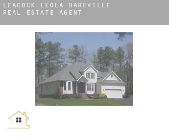 Leacock-Leola-Bareville  real estate agent