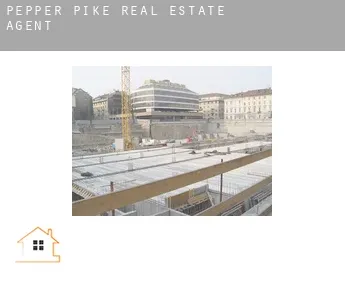 Pepper Pike  real estate agent