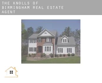 The Knolls of Birmingham  real estate agent