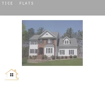 Tice  flats