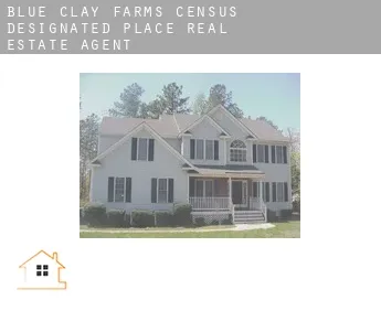 Blue Clay Farms  real estate agent