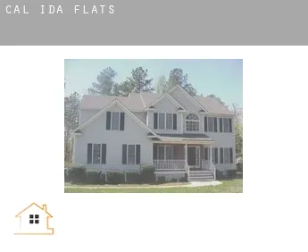 Cal-Ida  flats