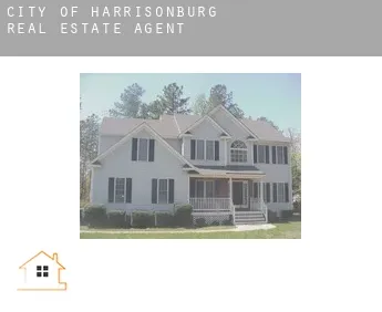 City of Harrisonburg  real estate agent