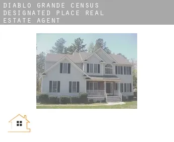 Diablo Grande  real estate agent