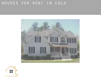 Houses for rent in  Colo