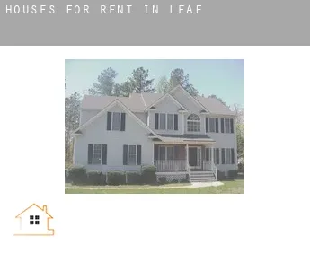 Houses for rent in  Leaf
