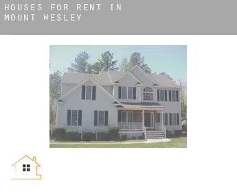 Houses for rent in  Mount Wesley