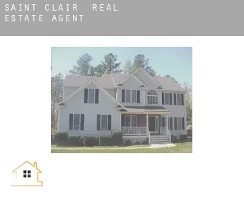 Saint Clair  real estate agent