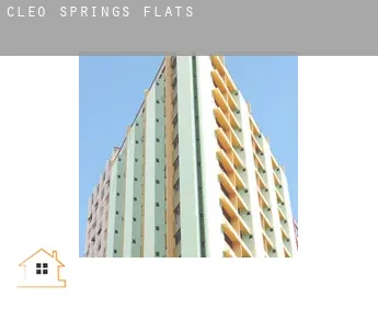 Cleo Springs  flats